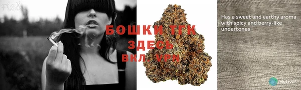 гидра Лабытнанги