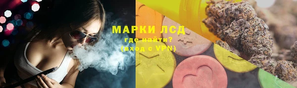 индика Лихославль