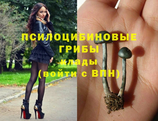 таблы Лиски