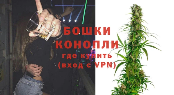 индика Лихославль