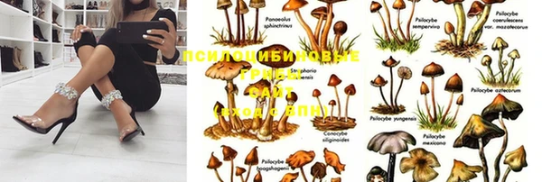 таблы Лиски