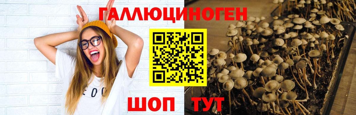 Березники  Галлюциногенные грибы ЛСД  Вход с VPN 